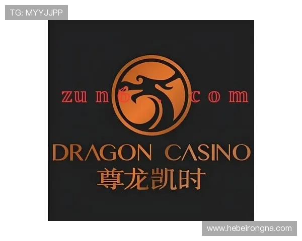 尊龙人生就是博网站：为人生增添无限精彩的优质在线服务