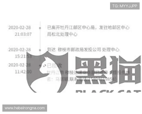 尊龙现金下载官网全天在线客服，解决您的各种疑问与问题