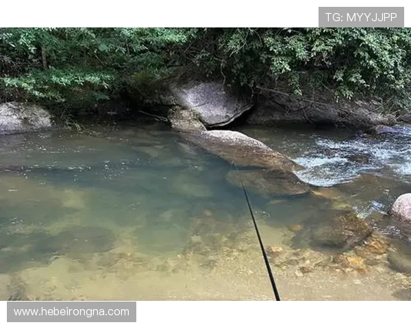 如何在ag捕鱼官网app中提升捕鱼技巧获得高分