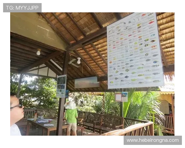 沙巴真人娱乐体验全攻略，带你领略最真实的博彩乐趣