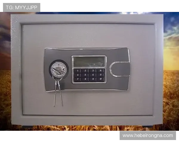 k8凯发国国际入口：平台安全登录指南，确保账号信息安全无忧