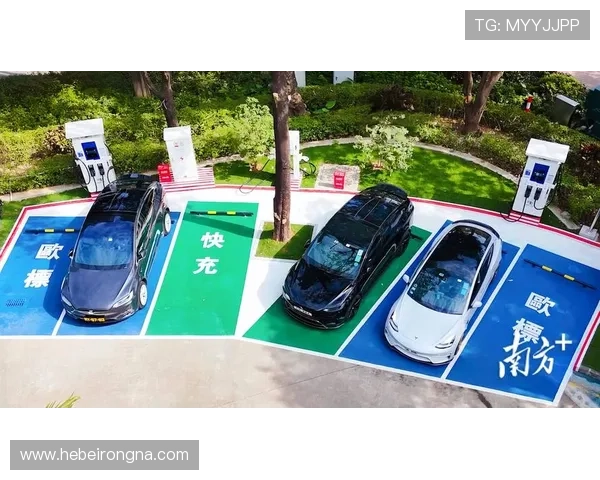 K8凯发网站用户评价与反馈真实玩家体验分享与建议