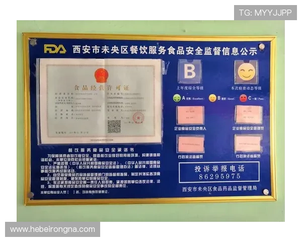 凯发真人app下载安装成功后如何进行账号登录与安全设置，保障个人信息安全