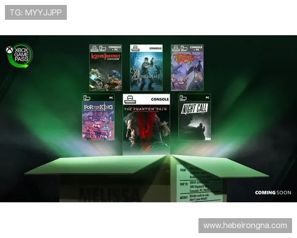 ng娱乐电子游戏网站的安全性分析与玩家个人信息保护措施