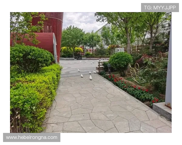 在贴吧中如何有效获取壹号app在南宫集团的最新新闻资讯