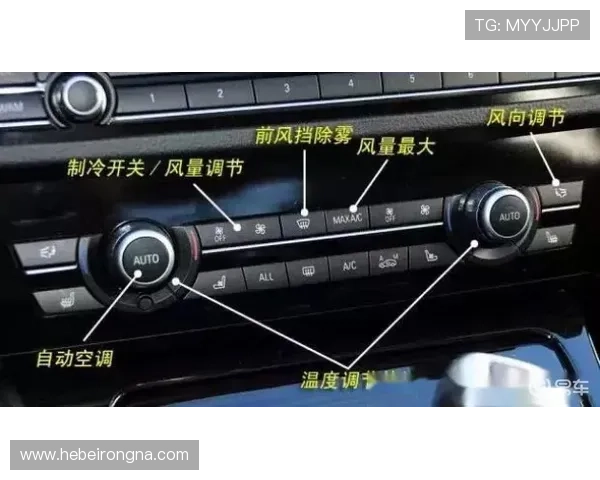全面解析斗牛扑克的规则与技巧帮助新手快速入门