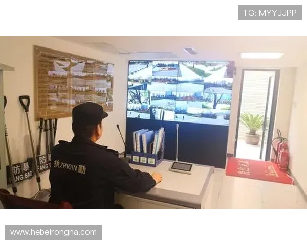 南宫NG平台安全保障措施详解保障玩家账号与财产安全的实用指南